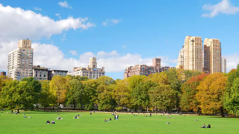 Luxury Limo service in Menlo Park