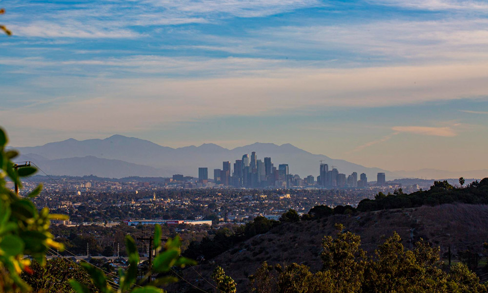 Palo Alto Party Bus Service