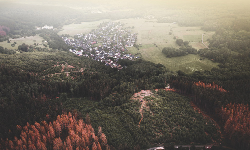 Are you Looking for Luxury Limo Service in Redwood City?