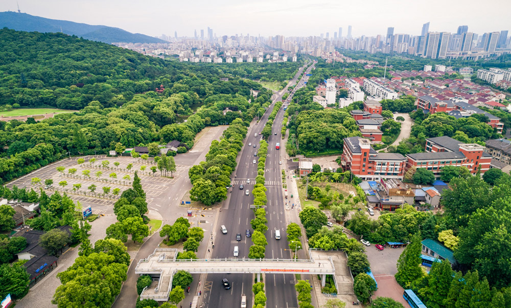 Tracy Shuttle Bus Service – Reliable, Comfortable, and Affordable Travel