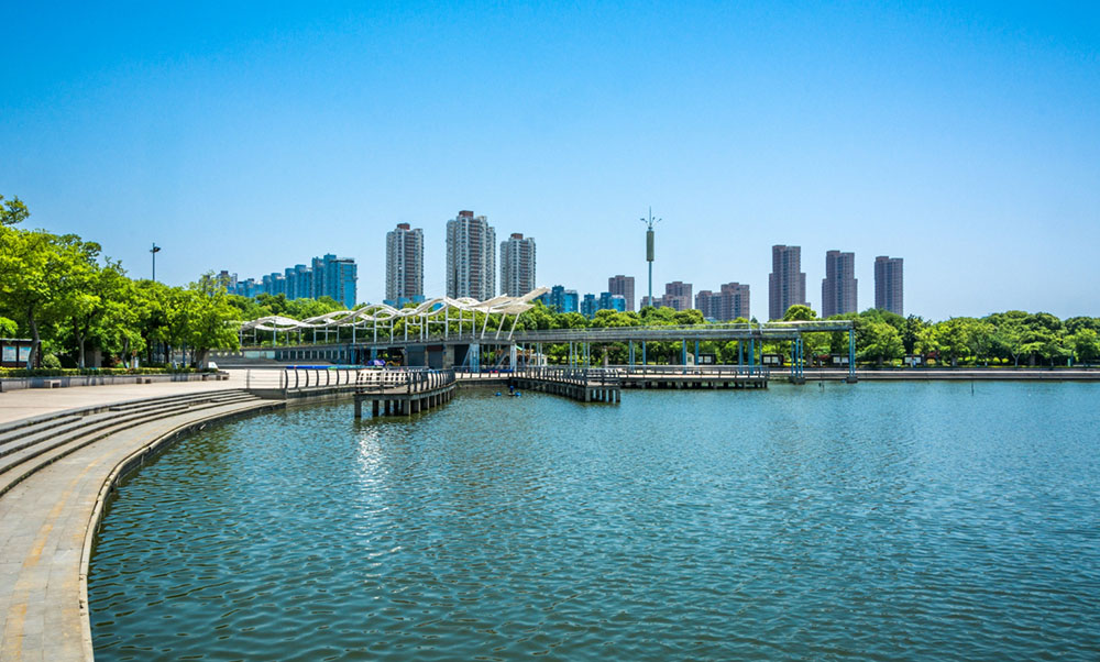 Affordable limo Service in Walnut Creek, CA