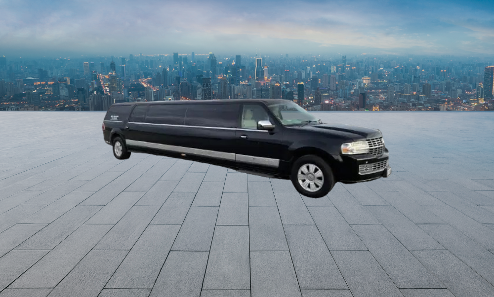 14 Passengers Navigator Limo