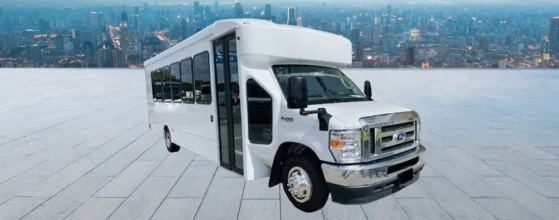 20 Passenger Party Bus