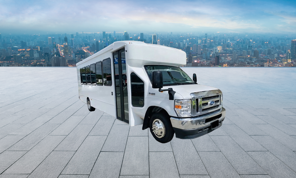 20 Passenger Party Bus