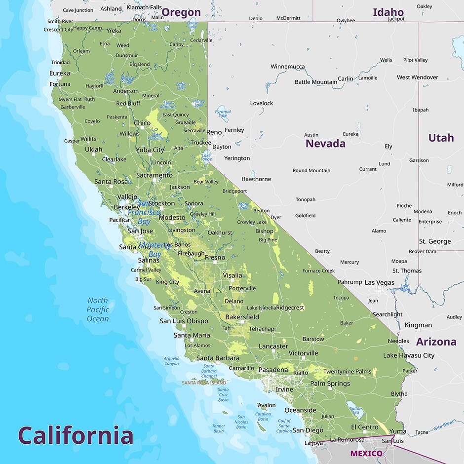 Bay area Transportation