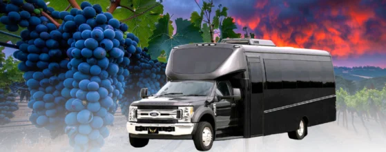 wine tour limo