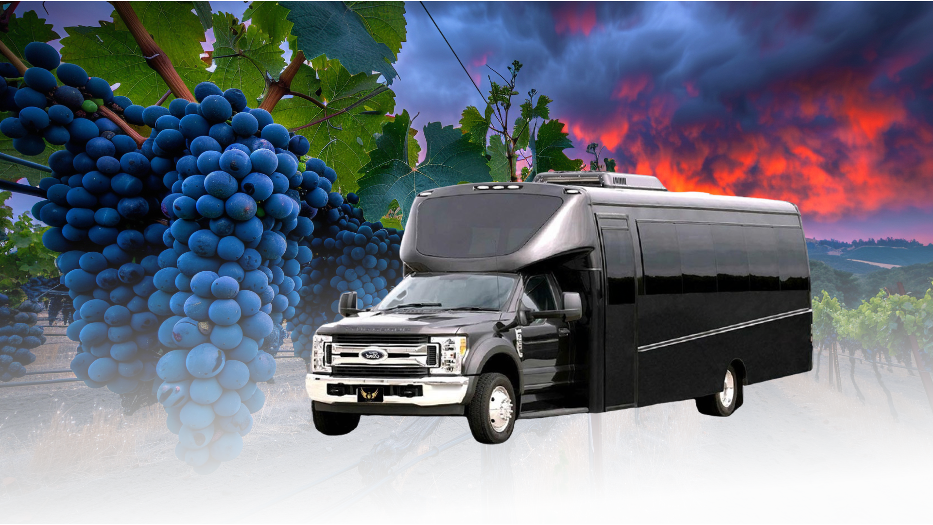 Wine Tour Limo Service – Best Vehicles for Wine Tasting Tours in the Bay Area, CA